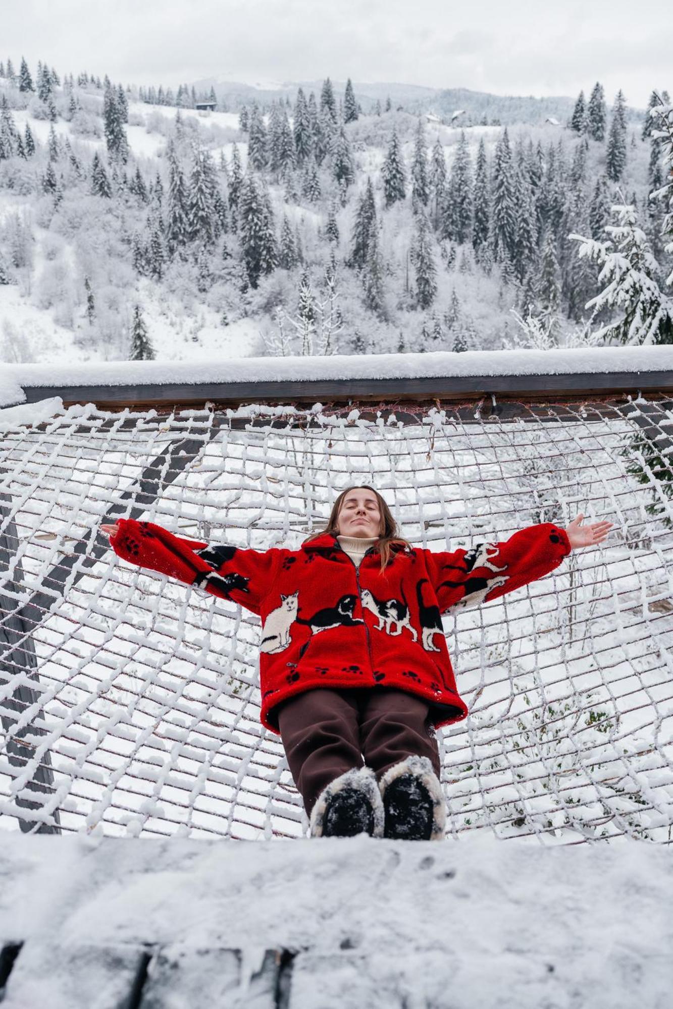 Шале карпатське Hygge